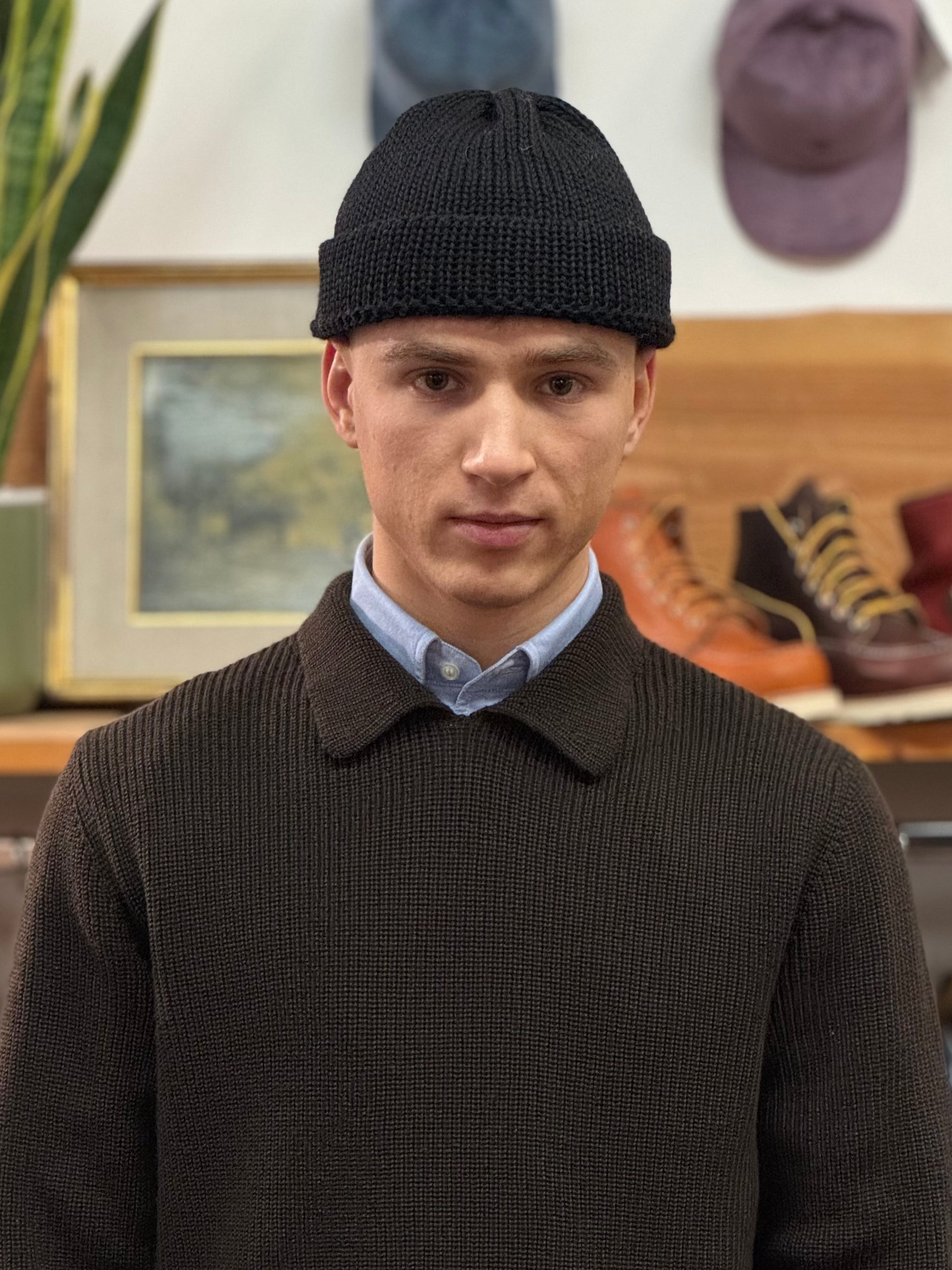 FRESH Sound Merino Polo Sweater In Brown