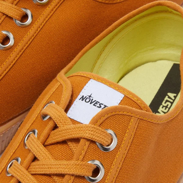 NOVESTA Star Master 08 Sedlova 003 Transparent