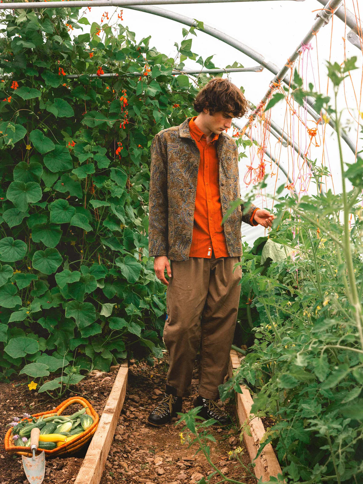 KESTIN Ormiston Jacket in Olive Paisley Jacquard