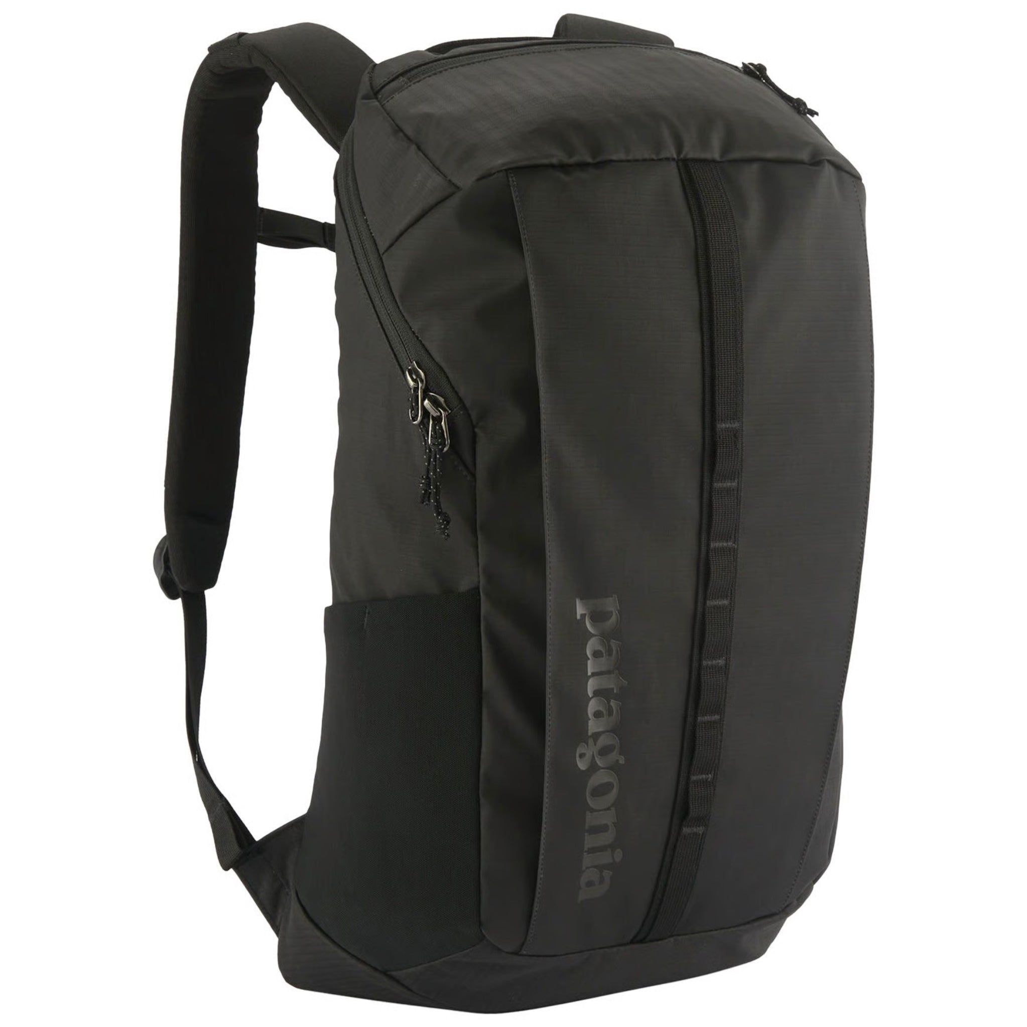 PATAGONIA Black Hole® Pack 25L Black