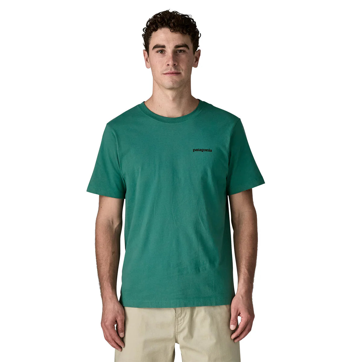 PATAGONIA Men's P-6 Logo Responsibili-Tee® Gem Green